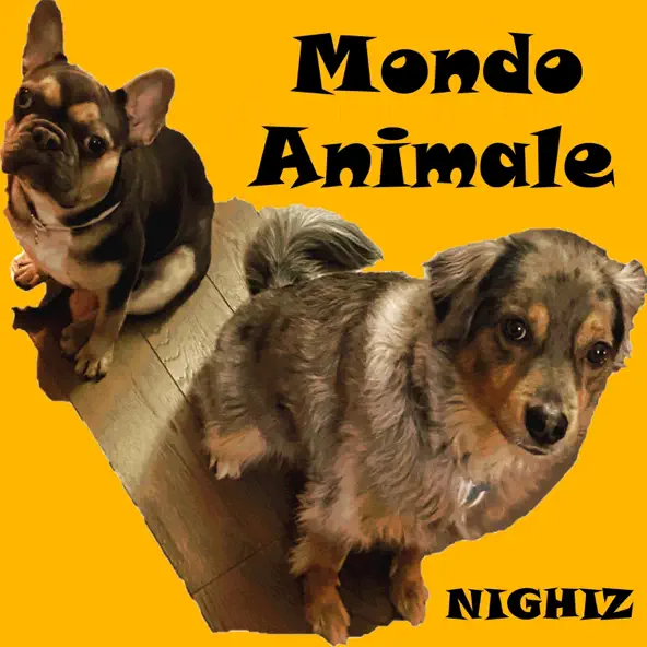 MONDO ANIMALE — Nighiz